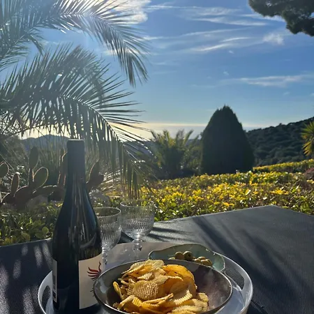 Villa Parc Du Montnegre Avec Magnifique Vue