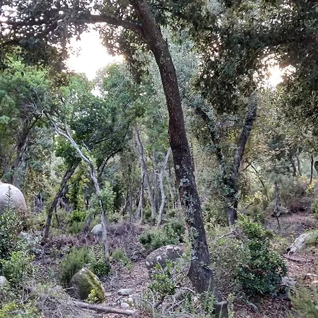 Parc Du Montnegre Avec Magnifique Vue Tordera