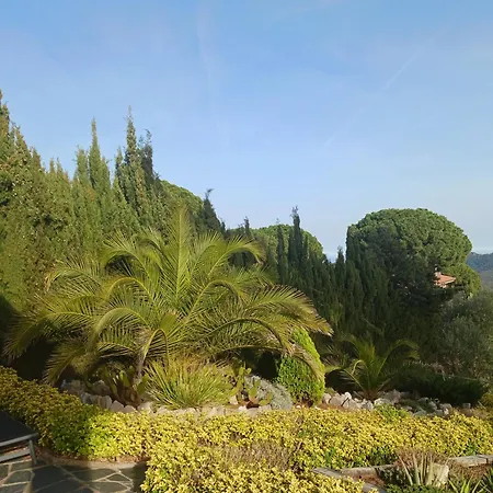 Parc Du Montnegre Avec Magnifique Vue Villa Tordera